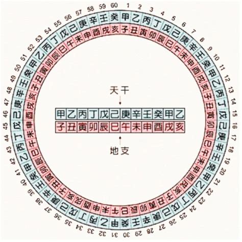 2023天干地支五行|2023年天干地支对照表 干支日历表